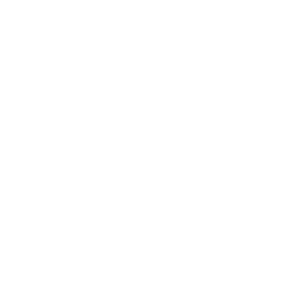 Gizmodo Logo